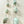 Aqua Terra Agate Earrings